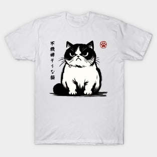 Kawaii Cat Anime Japanese Streetwear Novelty Funny Cat T-Shirt